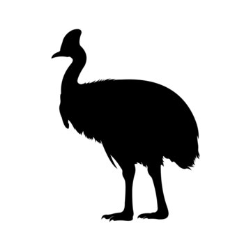 recommend clip art: cassowary silhouette on white background.