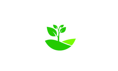plant logo vector