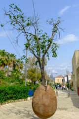 hanging tree in old Jaffa Israel