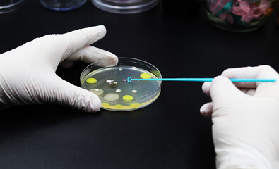 Handling of microorganisms in the laboratory, Blue microbiological inoculation loop