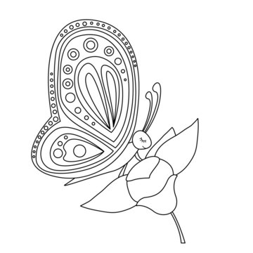 Lineart of butterfly on flower. Vector illustration for kids colouring book.