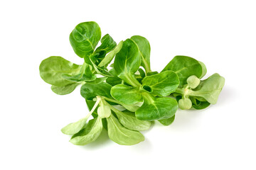 Spinach salad, isolated on white background.