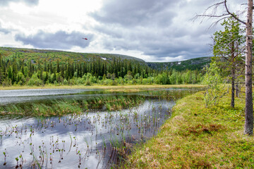 Fototapeta na wymiar Forest lake in the woodland with a helicopter in the sky