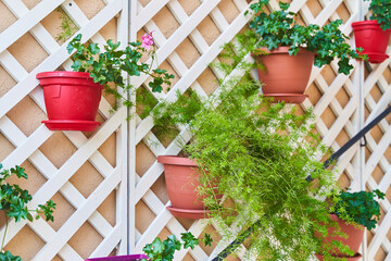 Multi-colored plant pots hanging on the wall