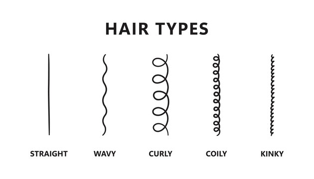 Classification of hair types - straight, wavy, curly, coily, kinky. Scheme of different types of hair. Curly girl method. Vector illustration on white background.