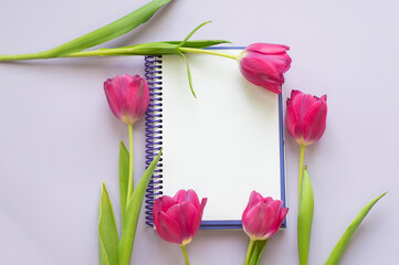 A beautiful bouquet of tulips and a notepad for text. The concept of spring flowers, romance, love.