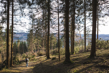 Obraz premium Frau beim Wandern im Wald