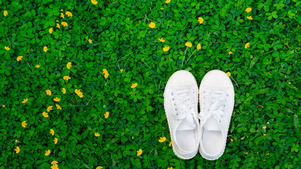White sneakers on green grass background.Top view with Copy space.
