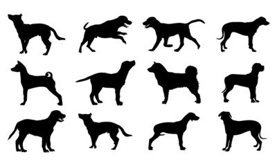 Collection of vector silhouette different breeds of dogs on white background.