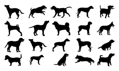 Collection of vector silhouette different breeds of dogs on white background.