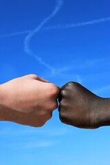 a white-skinned fist and a black-skinned  fist in front of a blue sky