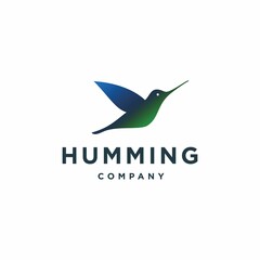 blue and green hummingbird logo. colibri bird logo icon design in realistic colorful Illustration
