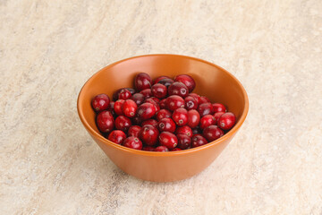 Ripe sweet tasty cranberry in the bowl