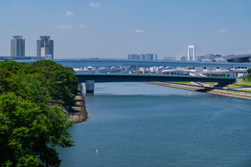 東雲運河の森