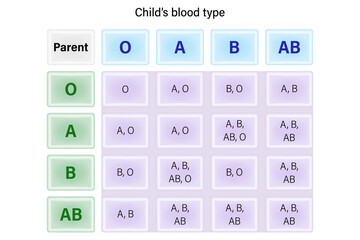 Child's blood type table. Baby blood type for medical and educational use.