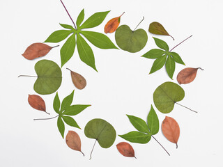 Autumn composition. Frame made of dried leaves on white background. Autumn, summer concept. Flat lay, top view, copy space. frame within a frame.