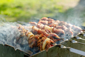 cook meat on the grill at a picnic. Meat on the grill at a summer picnic 