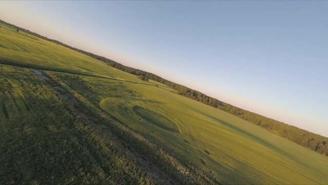 Flying on a drone, flying over a blooming summer field at sunset in the sunlight.Flying with birds. Flight at sunset. A sunny summer day. Aerial photography . FPV flights. High-speed flights.
