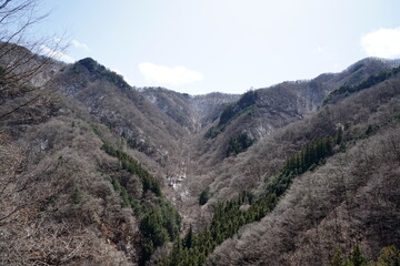 山