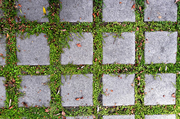 Grass and cement pavement. Eco parking texture background.