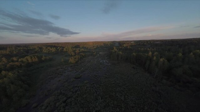 Flying on a drone. Flying over a swamp and a river. flying over the forest and wildlife. Flying with birds. Flight at sunset. A sunny summer day. Aerial photography . FPV flights. High-speed flights