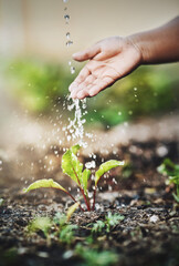 Itll grow with care. Closeup shot of an unrecognizable person watering a plant outdoors.
