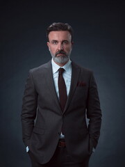 Portrait of a stylish elegant senior businessman with a beard and casual business clothes in photo studio isolated on dark background gesturing with hands