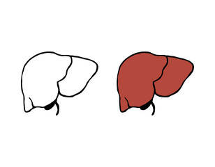 Liver doodle vector illustration. Human internal organ in hand drawn style.