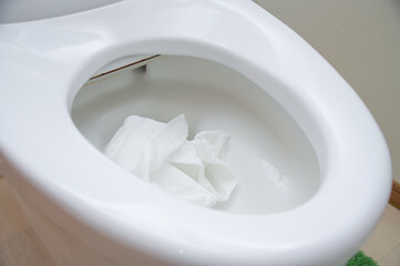 洋式便器とトイレットペーパー