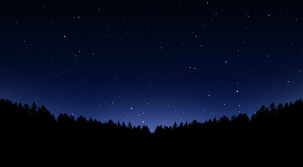 Night Sky with Stars and Forest Trees Silhouette. Wide View of Stars and Space Particles Moving Fast Over Tree. Scenic Dark Night Landscape. Space Astrophotography	
