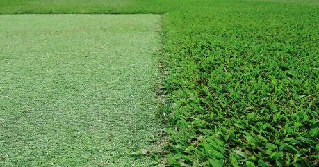 Half left and right side of artificial and real green lawn grass comparation