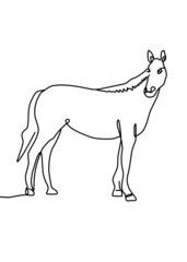 Continuous line drawing, horse