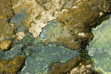 Stone eroded by hot mineral spring water with green sediment