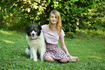 Naklejka na ściany i meble Girl playing with dog on grass. Teenager hugging Carpathian Shepherd Dog in the summer park. A Friendship concept of man and animal