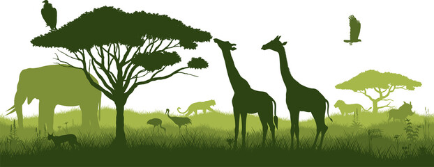 Vector horizontal seamless tropical african savannah with giraffe, caracal, vulture, eagle, lion,  elephant, leopard, crane and warthog - obrazy, fototapety, plakaty