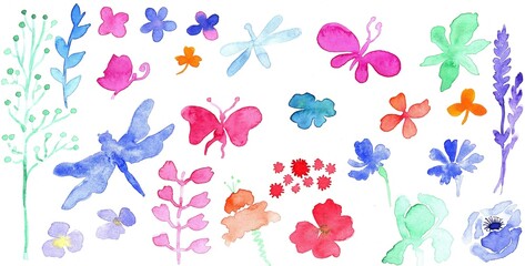summer watercolor set with simple multicolored butterflies, dragonflies, plants and dried flowers on a white background