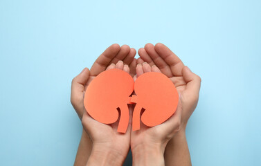 People holding paper cutout of kidneys on light blue background, top view
