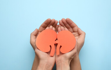 Fototapeta premium People holding paper cutout of kidneys on light blue background, top view