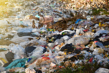A huge garbage full of human waste.