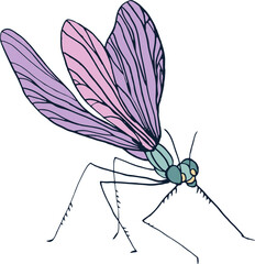 Dragonfly Insect Colored Hand Drawn Vintage Illustration © Good Studio