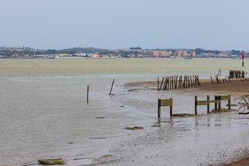 The estuary of the Guadalquivir in the Donana National Park