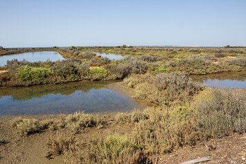 Salines for salt production in the Odiel Marches on Bucuta Island near Huelva