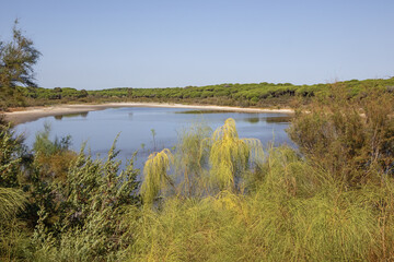 The laguna of El Portil in the Gulf of Cadiz