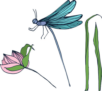 Dragonfly with Flower and Grass Hand Drawn Illustration
