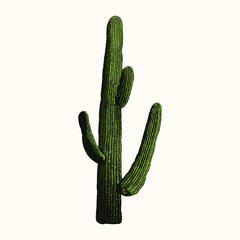 colored cactus. object isolated on background. easy editable.