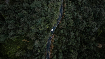 Top down aerial drone view of a mountain curve asphalt road in the woods. Vehicles heading forward between green pine trees. Car trip to remote locations, Beaty of nature in Sichuan, China