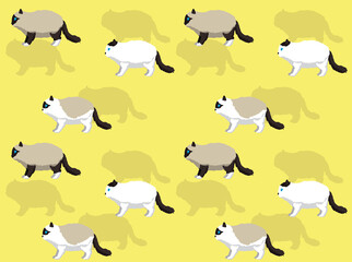 Cat Ragdoll Various Coats Seamless Wallpaper Background