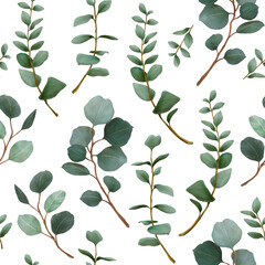 Fototapeta na wymiar Seamless Repeat Pattern Watercolor Australian Eucalyptus Gum Leaves Branches