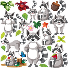 Cute raccoons doing different things
