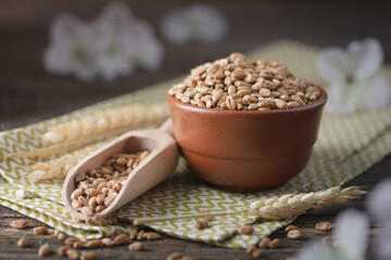 whole wheat grains in a clay bowl